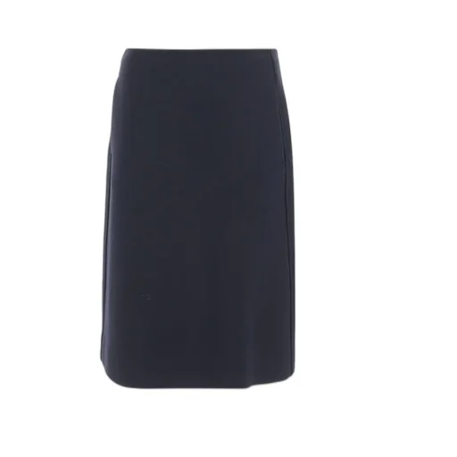 Mini Pencil Skirt
