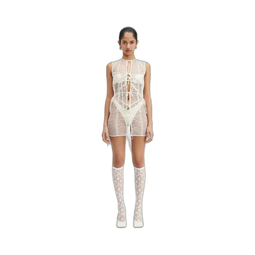 Sheer Ribbon Mini Dress