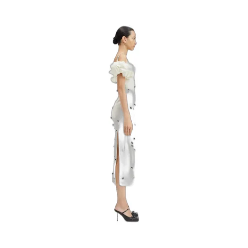 Bubble Sleeve Dress