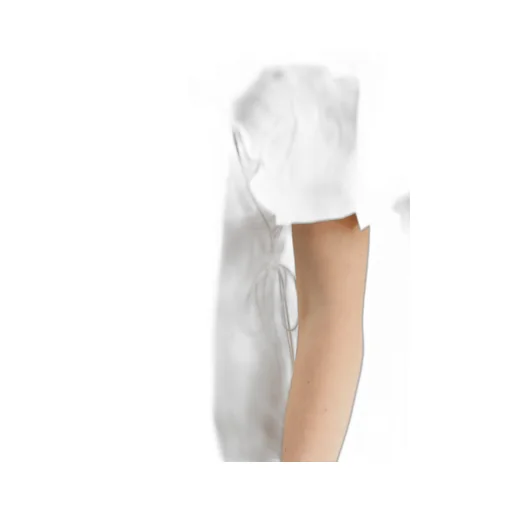 La Mini Robe Chouchou Detachable Sleeves Dress
