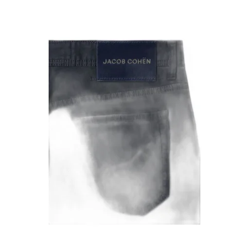 Scott Cropped Herringbone Pants