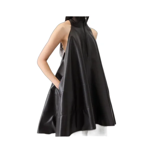 Sleeveless Dress