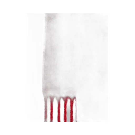 Logo Patch Fringed Scarf