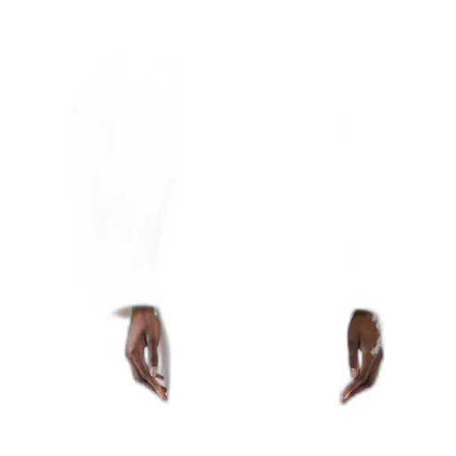 Le Manteau Coat