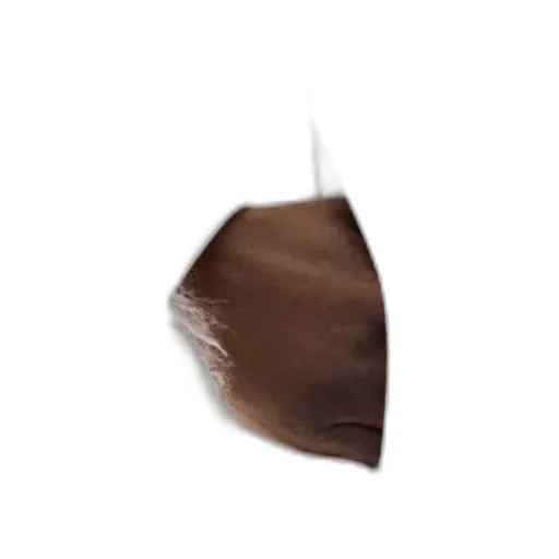Le Manteau Coat