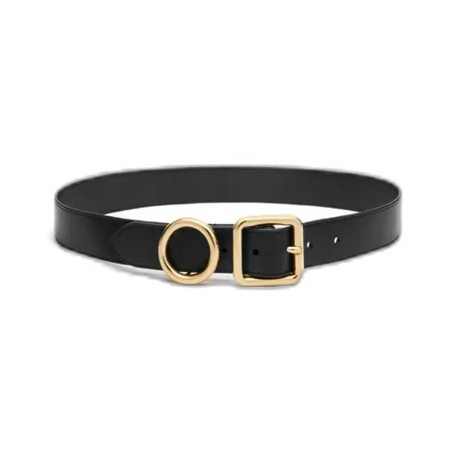 Regalo Belt