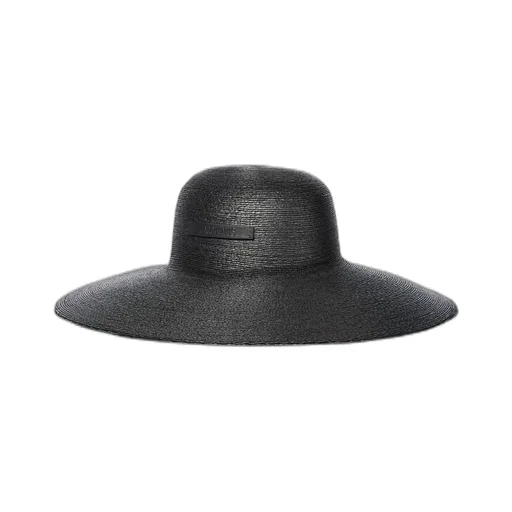Logo Visor