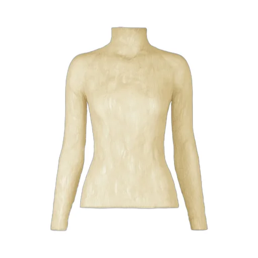 Semi-Sheer Blouse