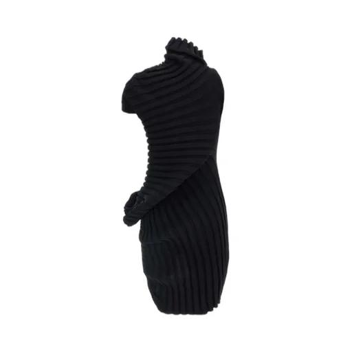 Ribbed High-Neck Dress