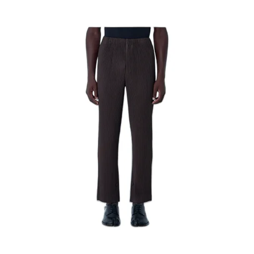 Pleated Trousers