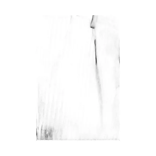 Belt Loop Casual Pants