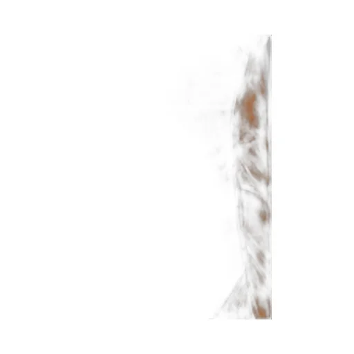 Nadela Ruched Detailed Midi Dress