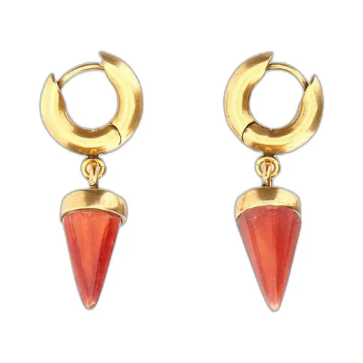 Embellished Earrings