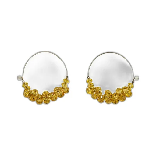 Hoop Earrings