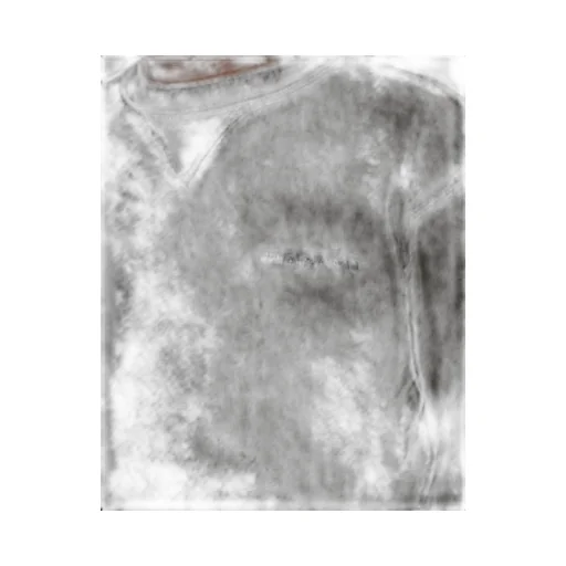 Long-Sleeved Crewneck Sweatshirt
