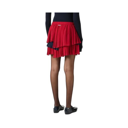 Ruffled Pleated Skirt