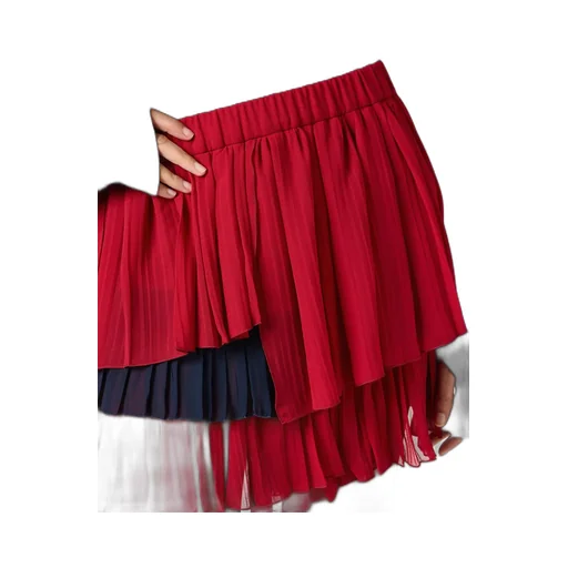 Ruffled Pleated Skirt