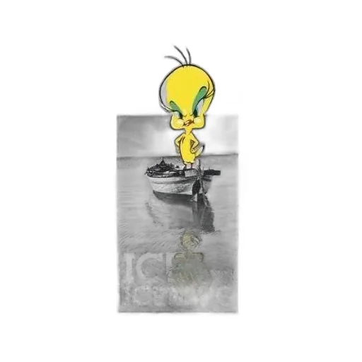 T-Shirt With Tweety Bird Print