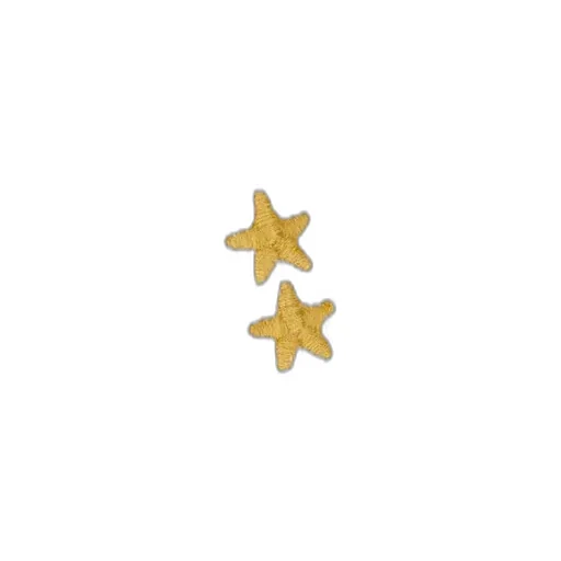 Star Embroidered Denim Trousers