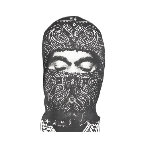 Paisley Mask Graphic T-Shirt