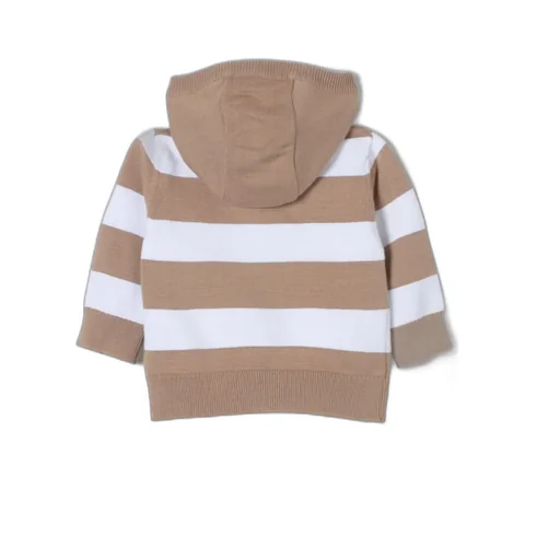 Striped Knit Hoodie