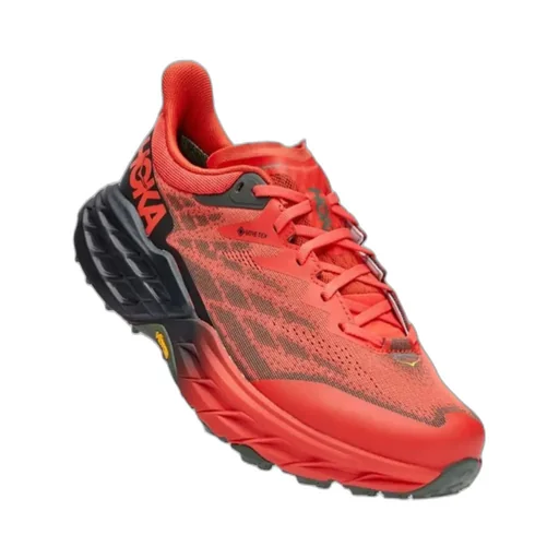 Speedgoat 5 Gtx