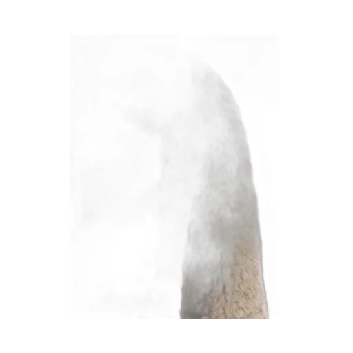 Faux-Fur Single-Breasted Coat