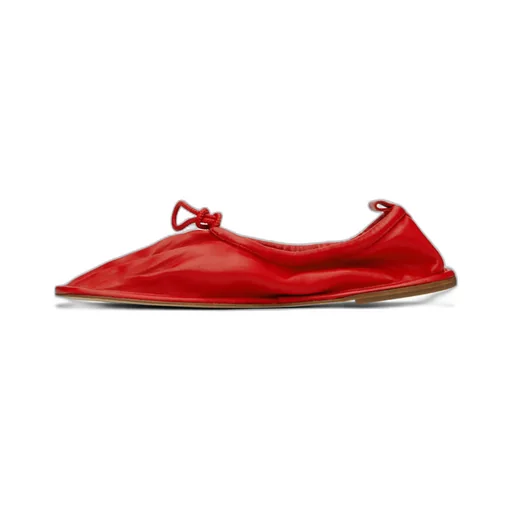 Puntera Ballerina Flats