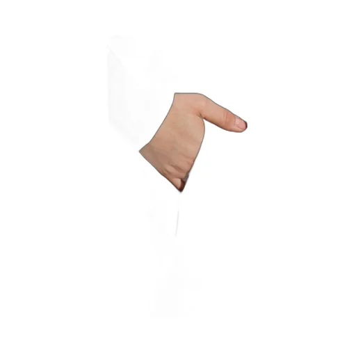 Pleated Wide Trousers