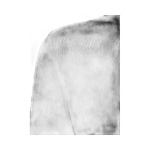 Garment-Dyed Shrunken T-Shirt