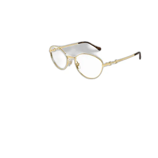 Oval Frame Glasses