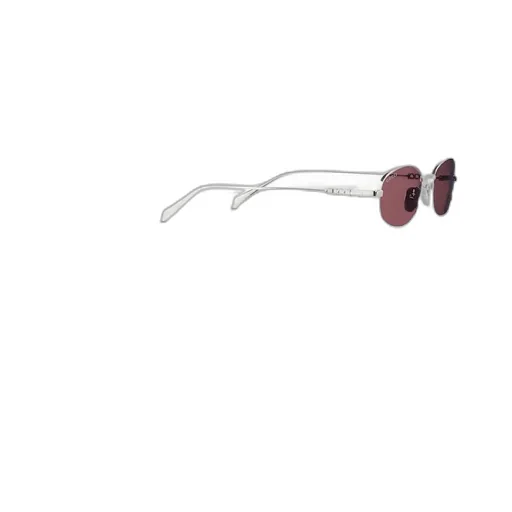 Oval Frame Sunglasses