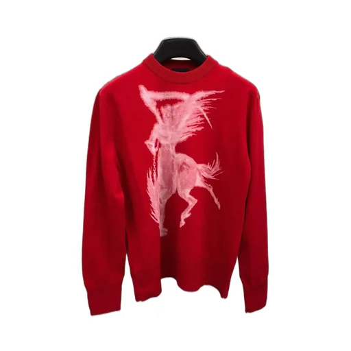 Graphic Printed Sweater