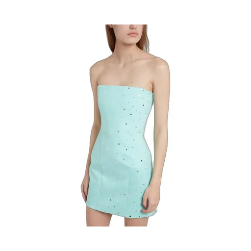Strapless Mini Dress