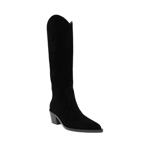 Pointed Toe Boots
