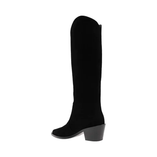 Pointed Toe Boots