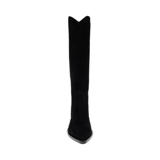 Pointed Toe Boots