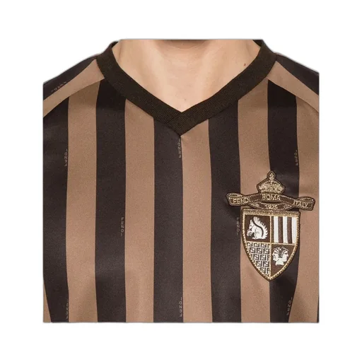 V-Neck Striped T-Shirt