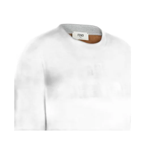 Logo Embroidered Crewneck Sweatshirt