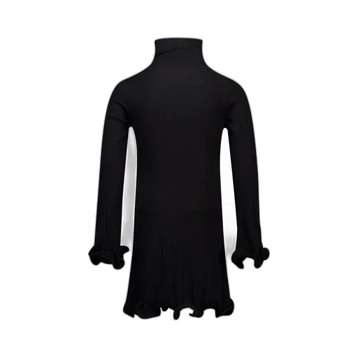 Roll Neck Ribbed-Knit Dress
