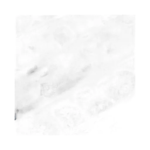 Coral Bandana Printed Square-Shaped Scarf