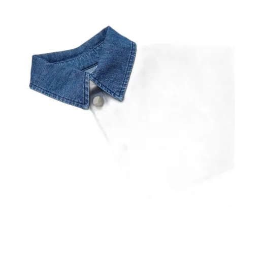 Logo Embroidered Denim Shirt