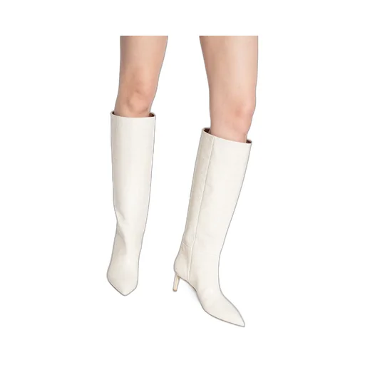 Pointed High-Heeled Boots