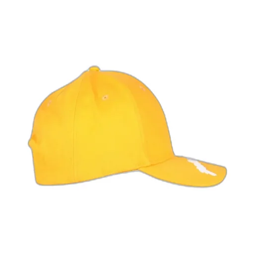 Logo Embroidered Cap