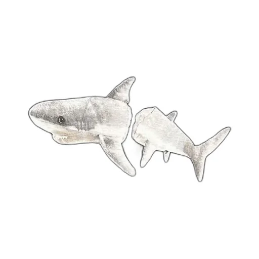 Shark Printed Crewneck T-Shirt