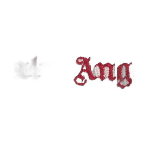 Logo Embroidered Cap