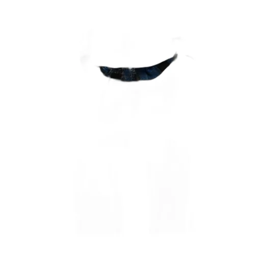 Elastic Waist Casual Pants
