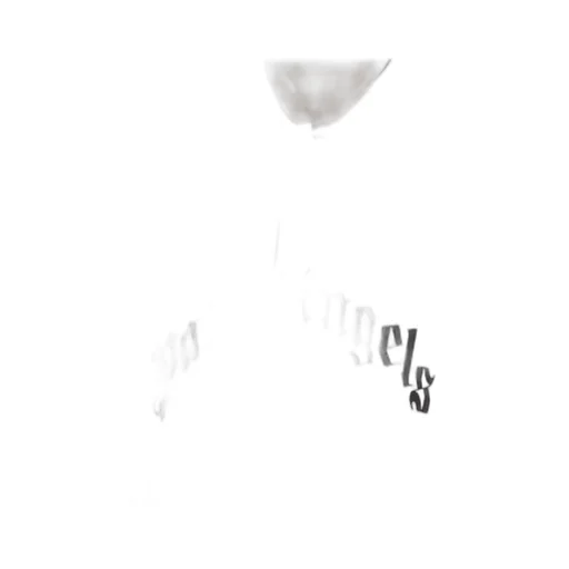 Curved Logo Embroidered Polo Shirt