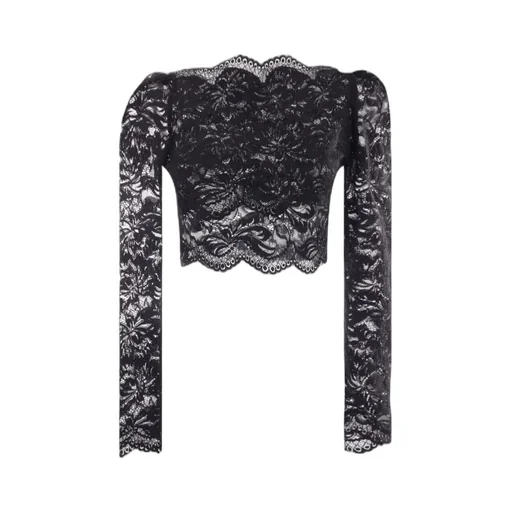 Long Sleeved Cropped Lace Top