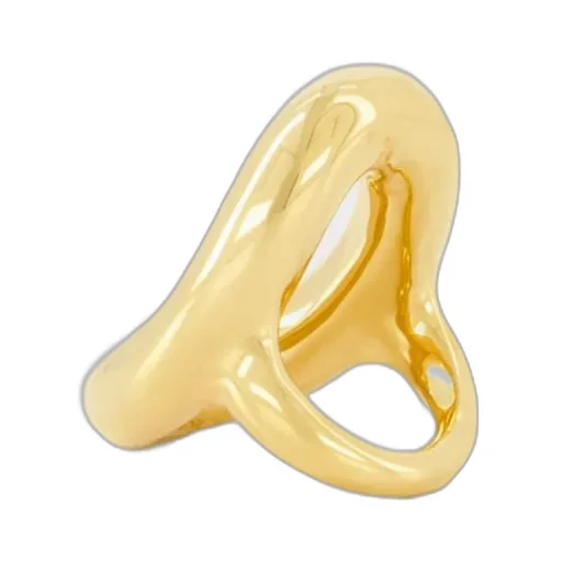 Anneau Ring